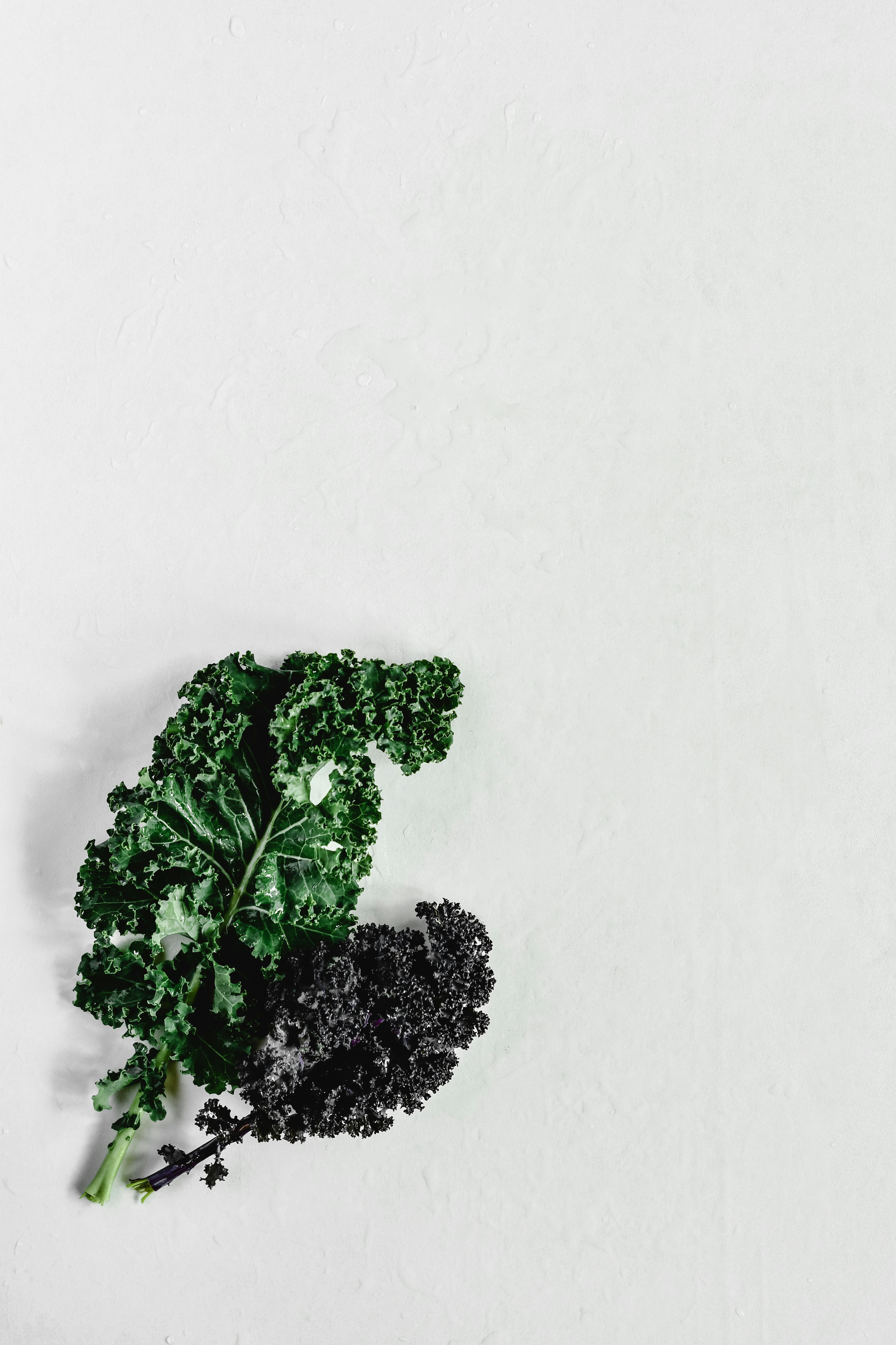 Diet for Insulin Resistance