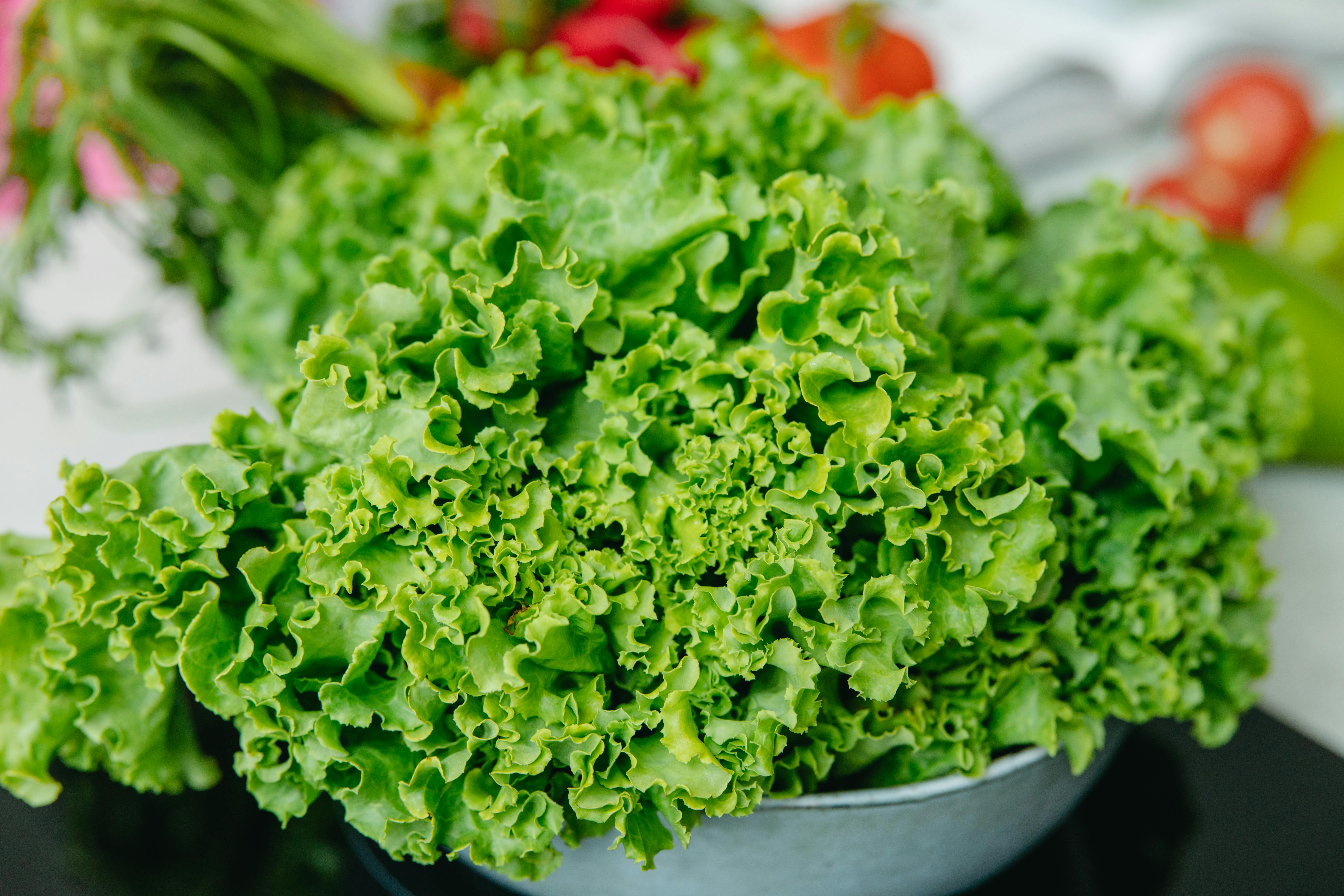 Practical Guide to Yogurt Diet: Achieve Your Health Goals in 2025