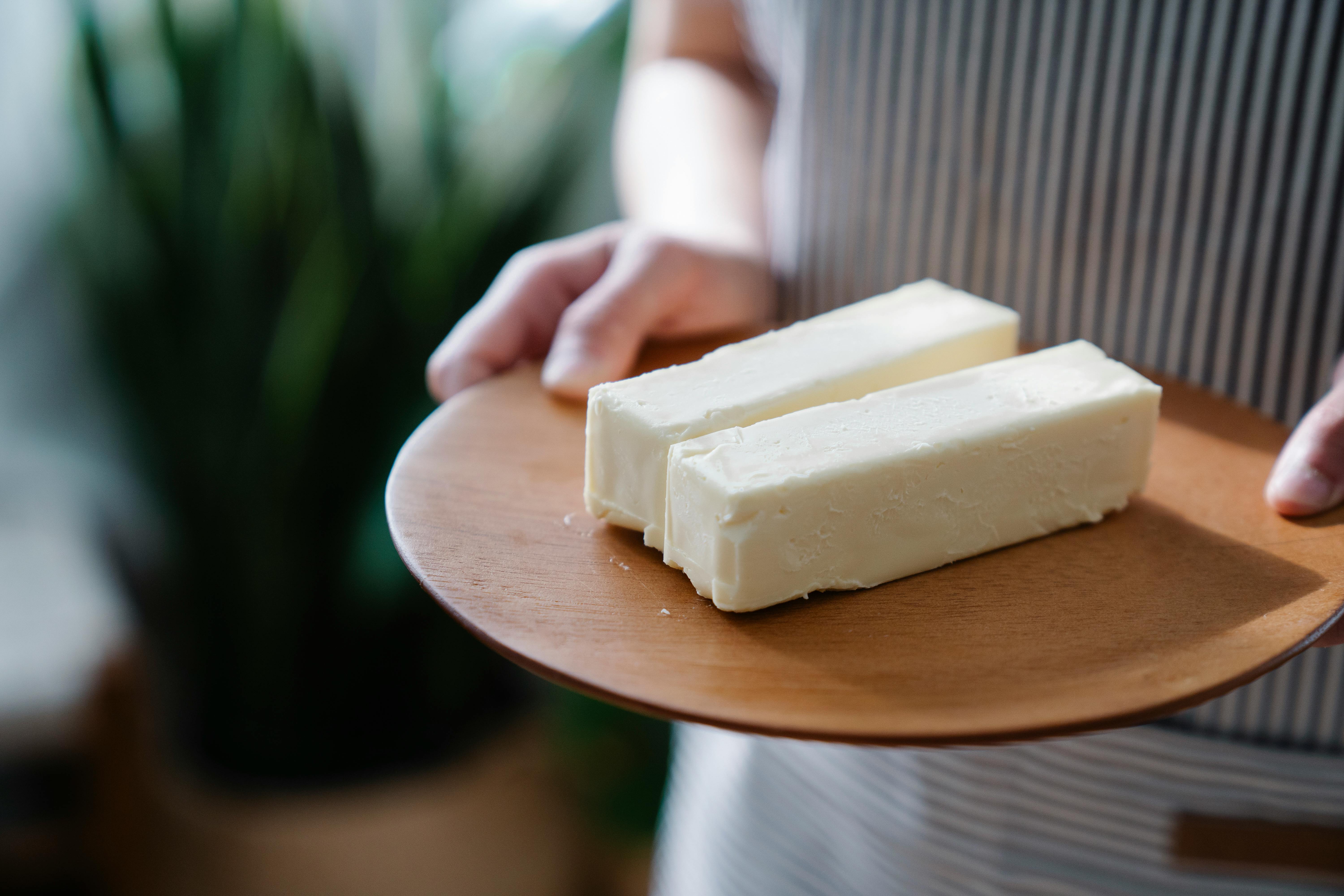 Delicious cheese recipes for carnivore diet
