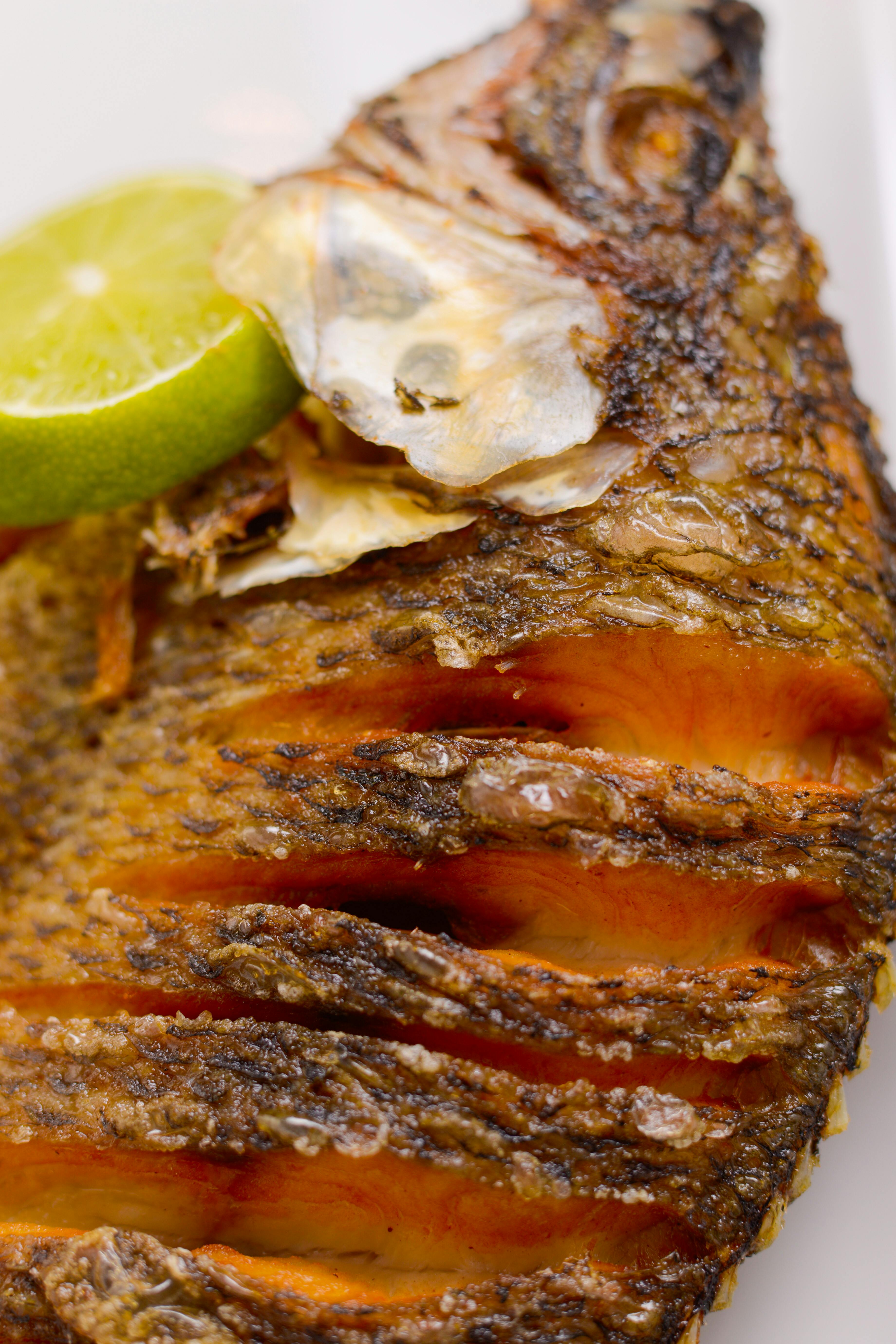 Low FODMAP Diet Recipes