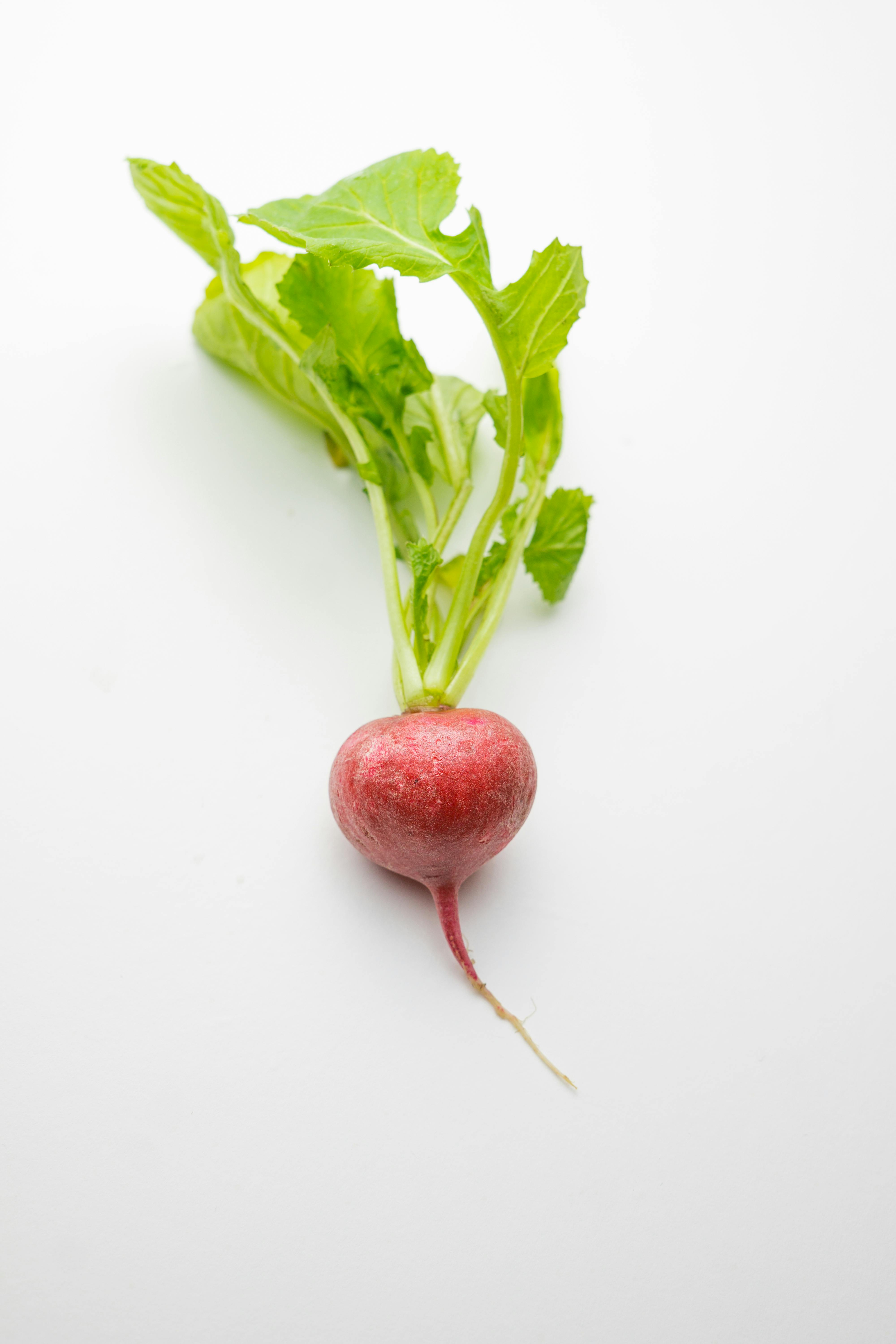Effective Ways to Understand Hormones for Better Health 