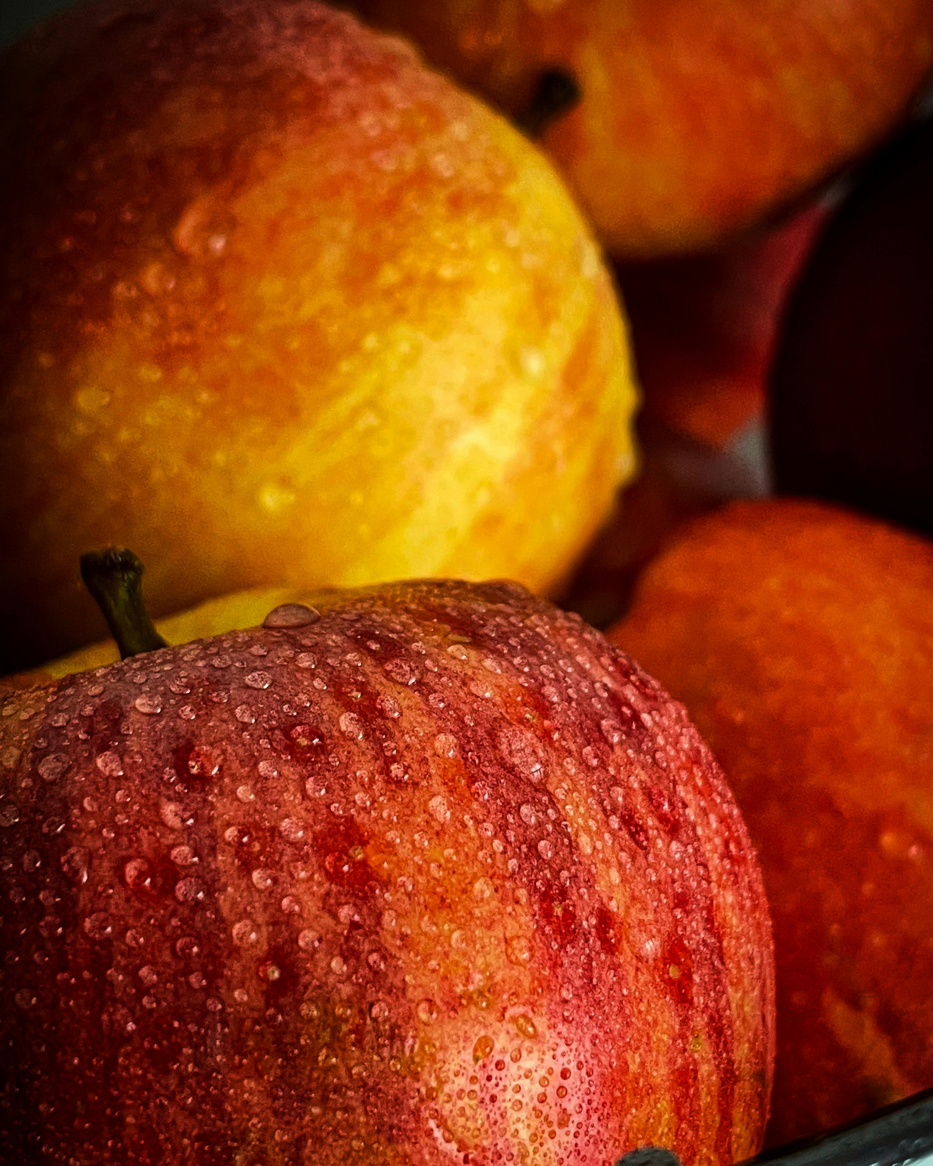 Best 5 Choices for Hill's Science Diet Sensitive Stomach in 2025