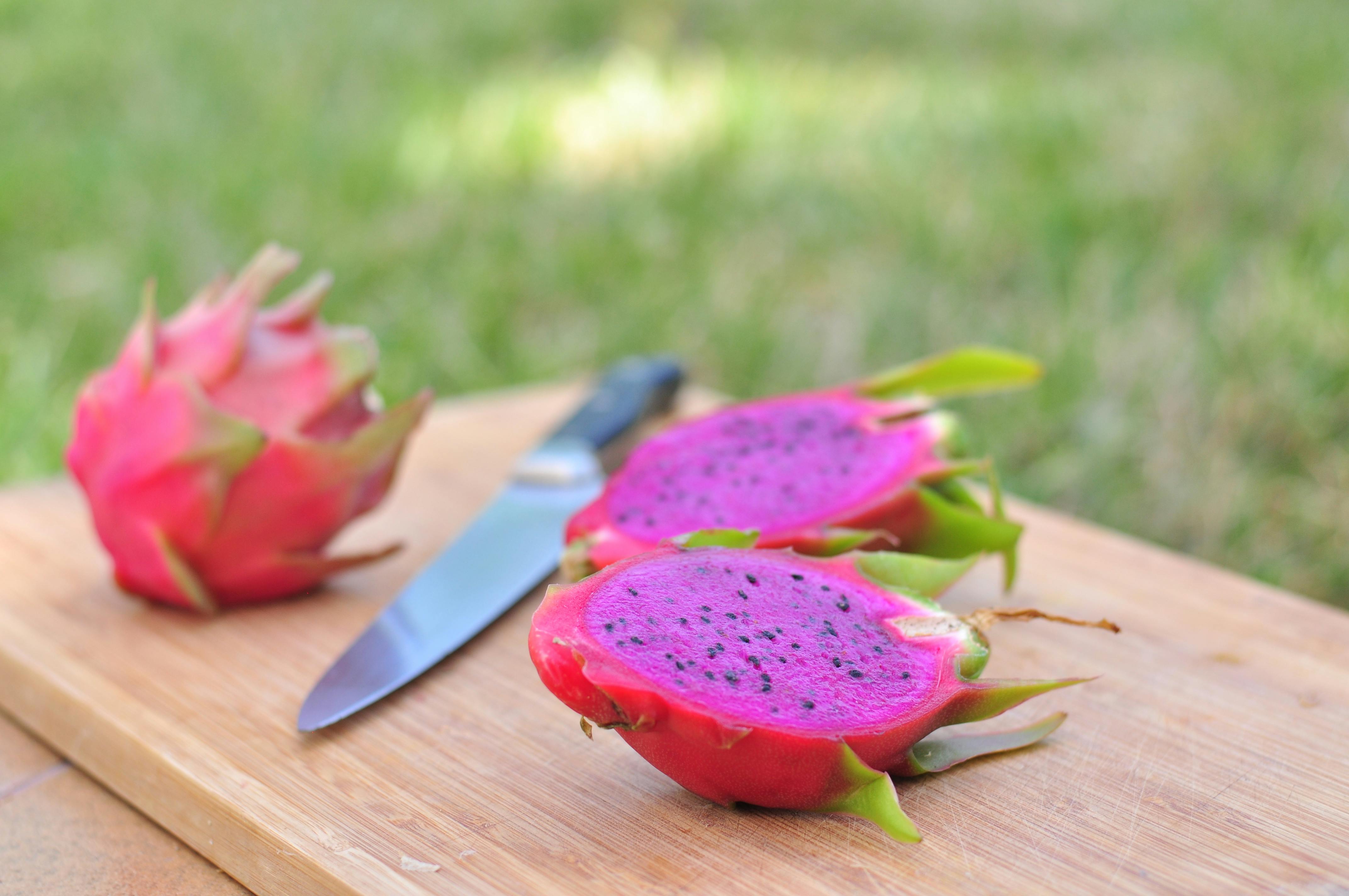 Science Diet nutrition advice