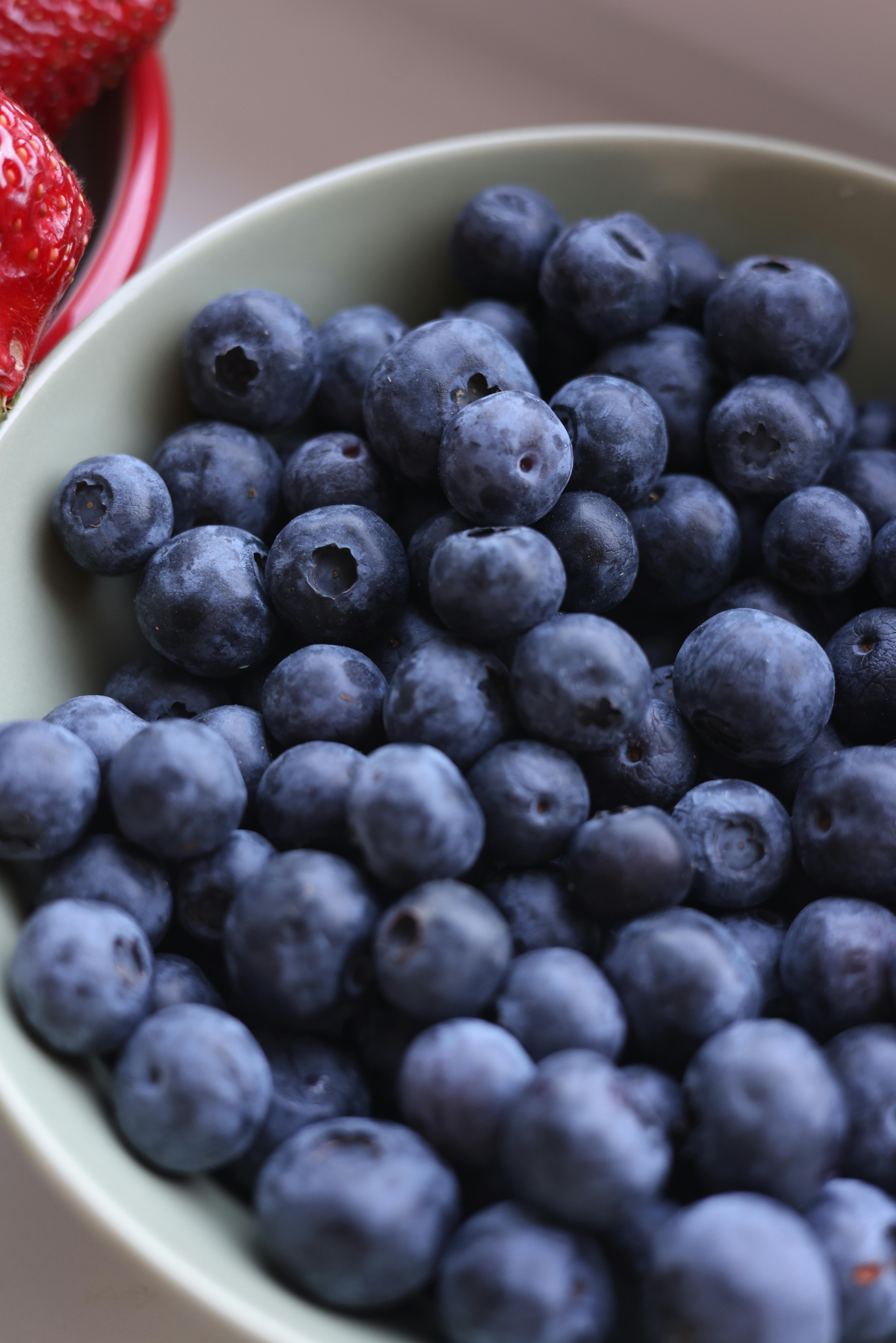 Best 5 Shred Diet Tips for Fast Weight Loss in 2025