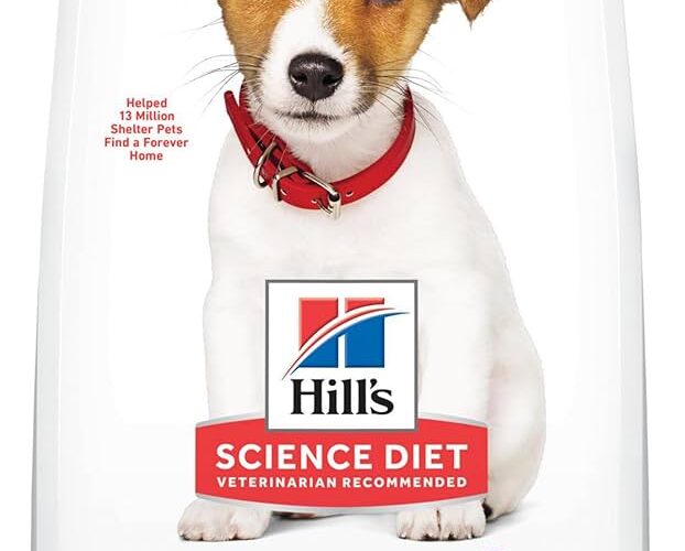 Effective Ways to Optimize Science Diet Dog Food for Your Pet’s Health in 2025