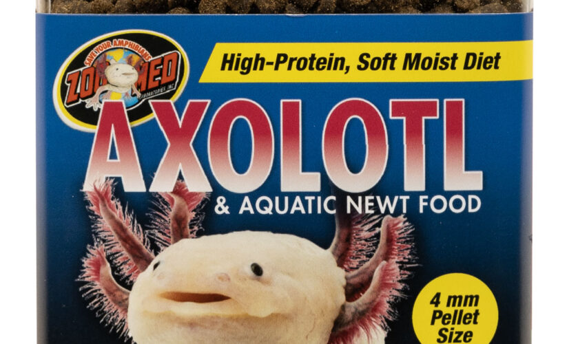 Essential Guide to Axolotl Diet: Improve Health and Growth in 2025