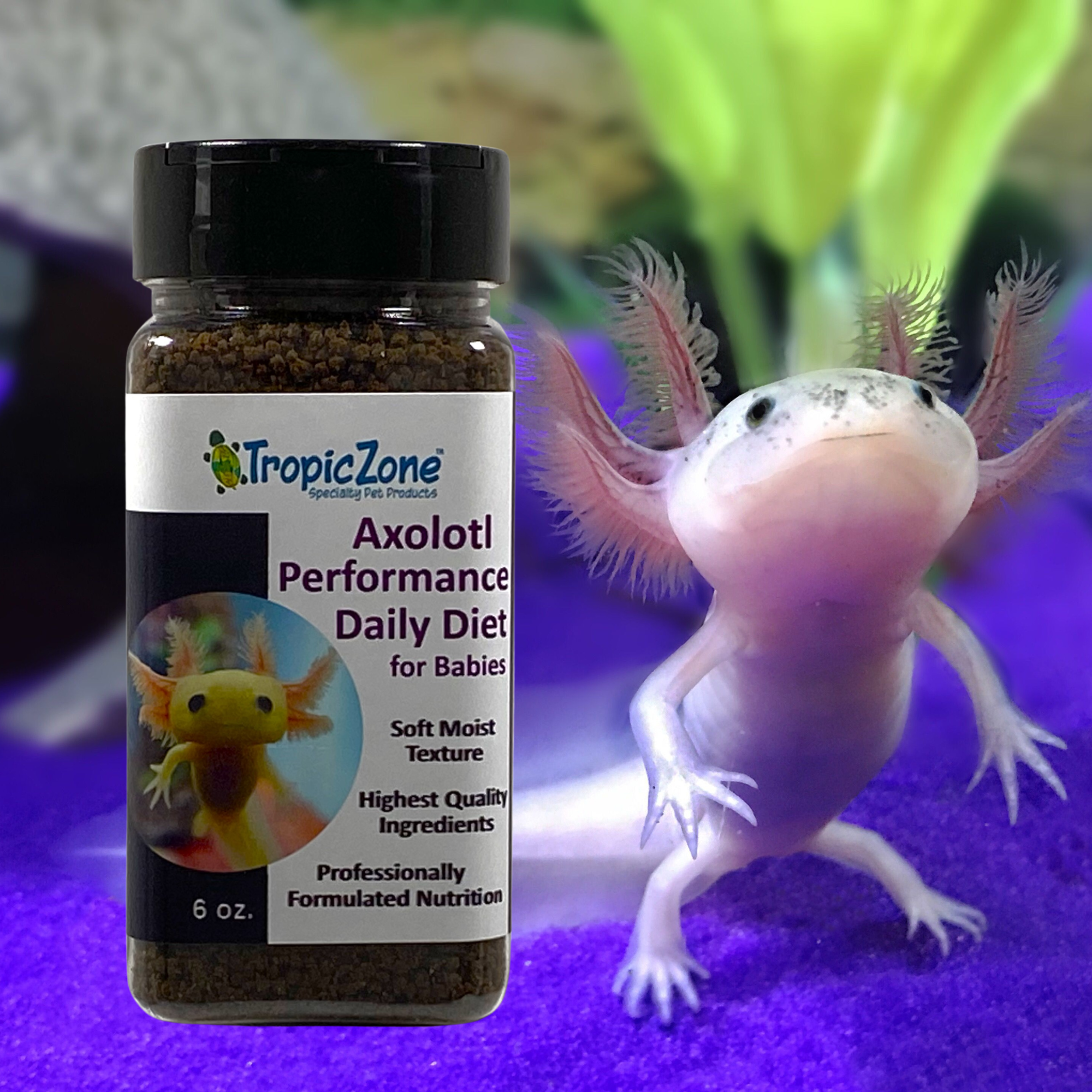 Best 7 Foods for Axolotls: Improve Health and Growth in 2025