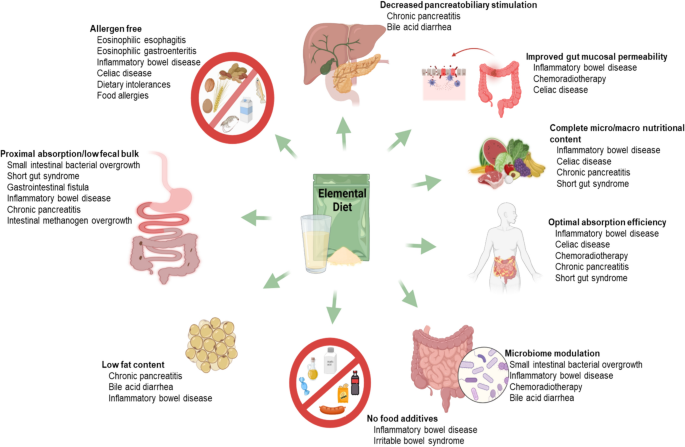 Elemental Diet Overview