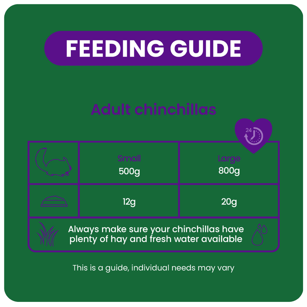 Chinchilla Diet Options