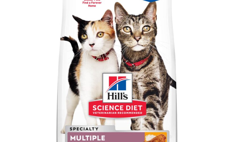 Effective Ways to Choose Hills Science Diet Cat Food for Your Pet’s Health in 2025