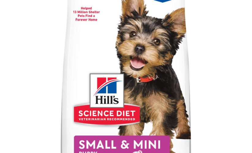 Top 5 Effective Choices for Hill’s Science Diet Puppy Nutrition in 2025