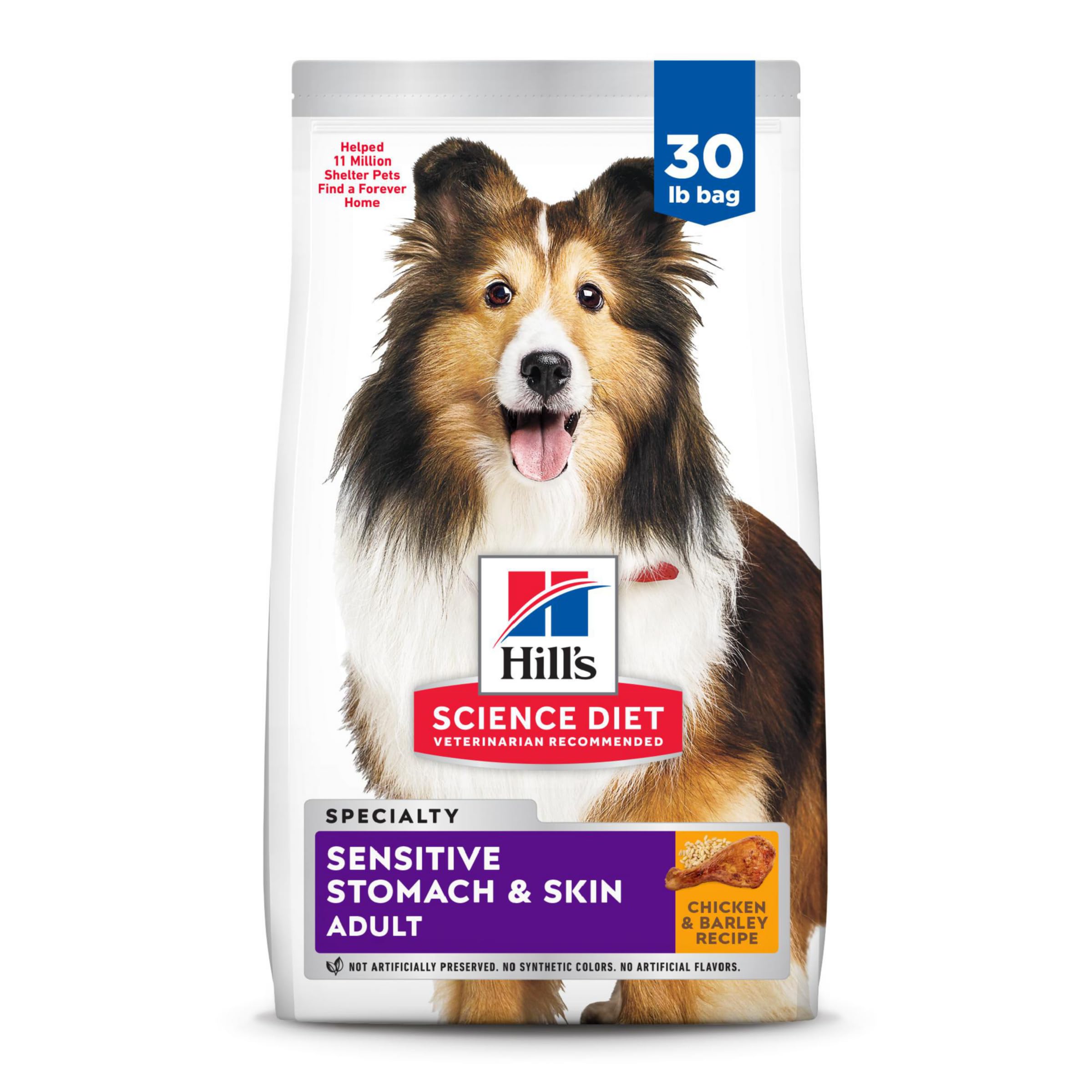 Top 5 Effective Solutions for Your Pet’s Sensitive Stomach with Hill’s Science Diet in 2025