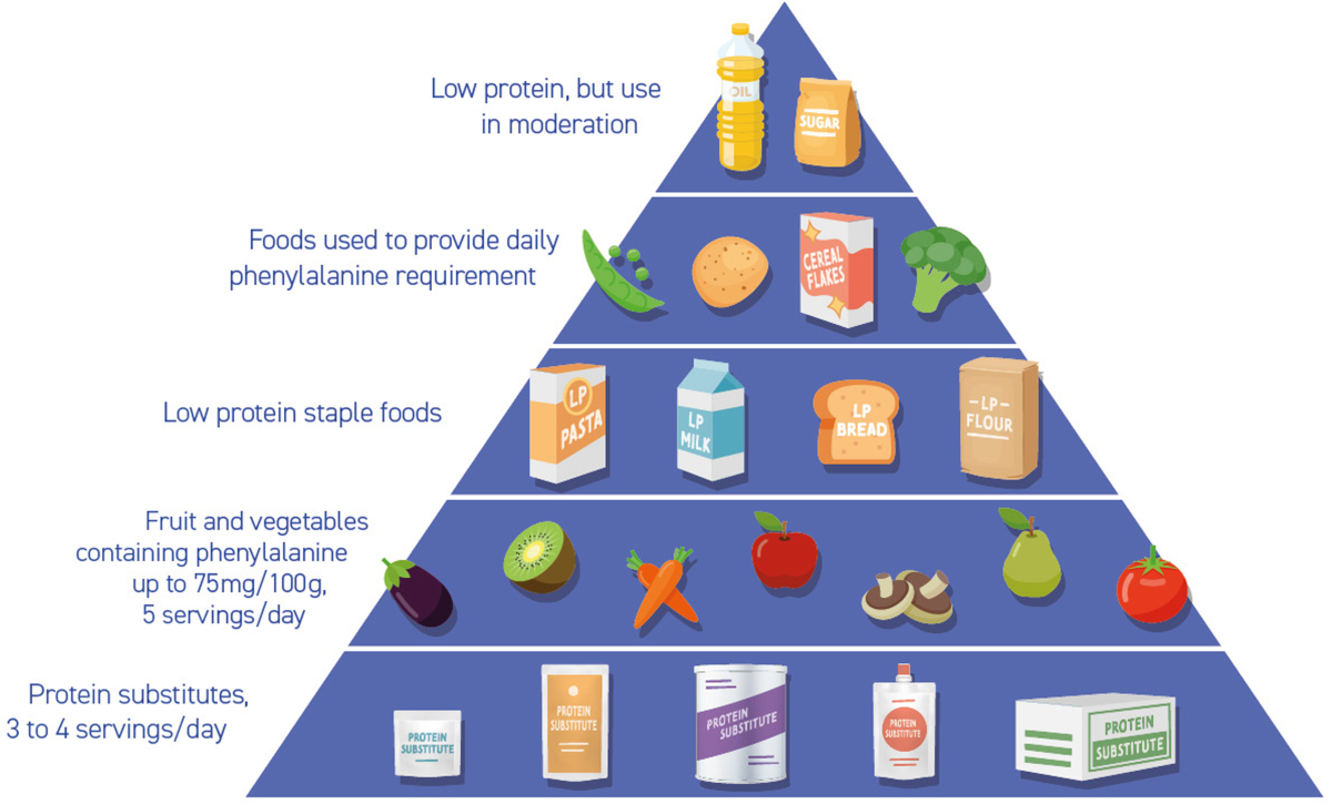 PKU Diet Overview