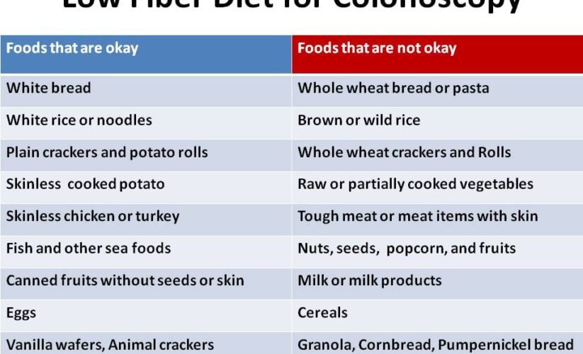 Essential Guide to Low-Fiber Diet Menu Examples for Improved Digestion in 2025